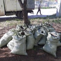 534478871_w640_h640_uborka_listvy_uchastka