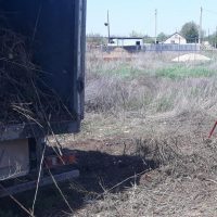 534478876_w640_h640_uborka_listvy_uchastka1