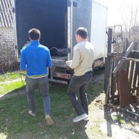 536500671_w640_h640_20180424_122317