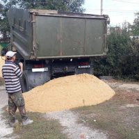 576063831_w640_h640_20181003_110038